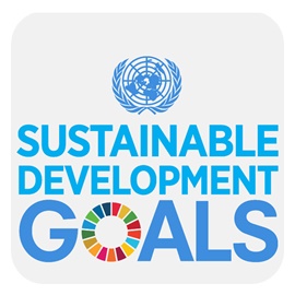 The SDG Goals