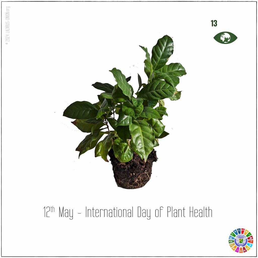 International Day of Plant Health