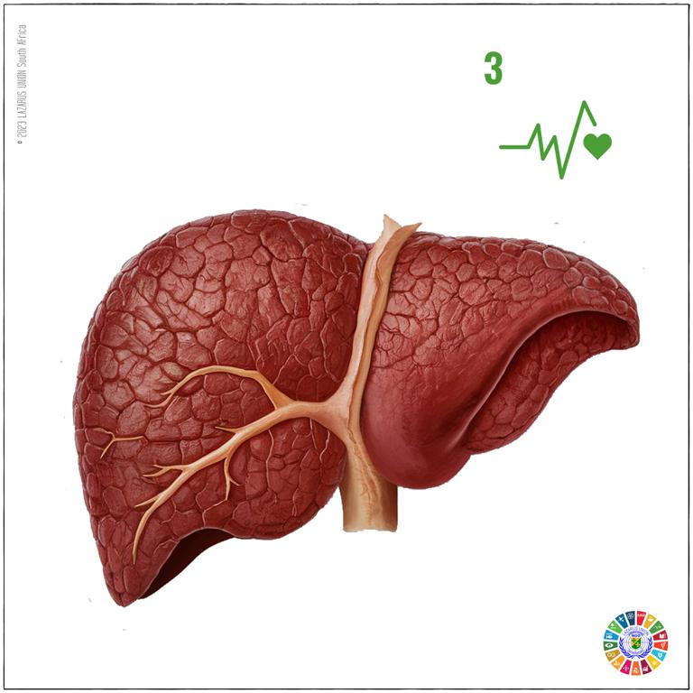 Understanding World Hepatitis Day